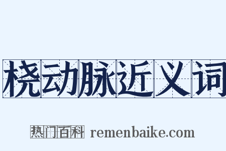 桡动脉近义词是什么意思的图片
